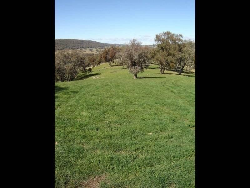 102 Sandy Creek Road, Molong NSW 2866