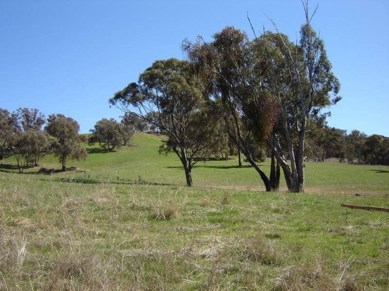 102 Sandy Creek Road, Molong NSW 2866