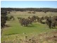 102 Sandy Creek Road, Molong NSW 2866