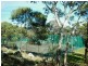940 Packham Drive, Molong NSW 2866