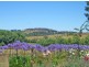 114 Heifer Station Lane, Orange NSW 2800