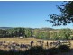114 Heifer Station Lane, Orange NSW 2800