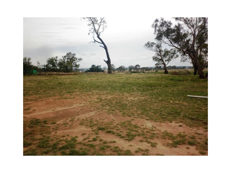 1003 Garra Road, Molong NSW 2866