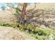 392 Kent Road, Mullion Creek NSW 2800