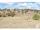 392 Kent Road, Mullion Creek NSW 2800