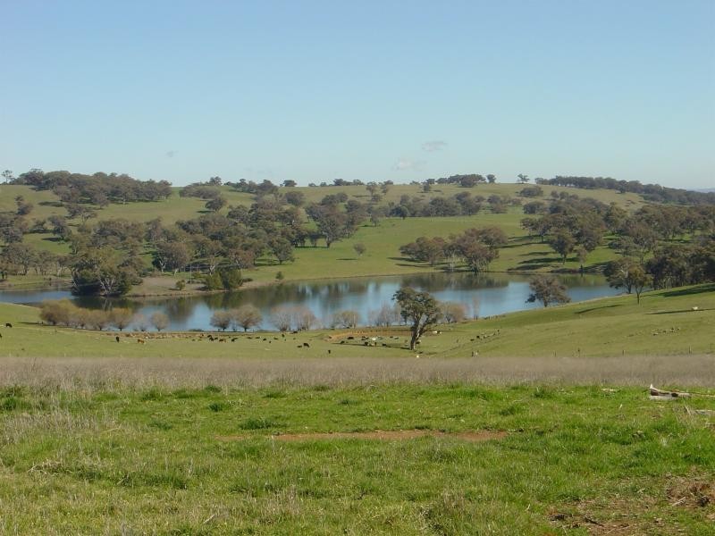 - Windera ESTATE, Orange NSW 2800