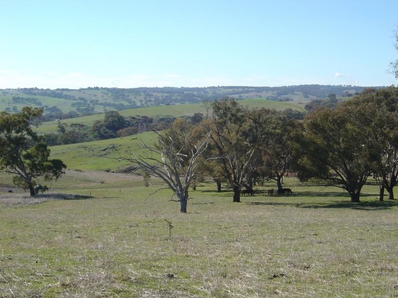 - Windera ESTATE, Orange NSW 2800