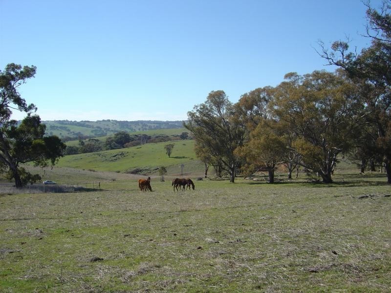 - Windera ESTATE, Orange NSW 2800