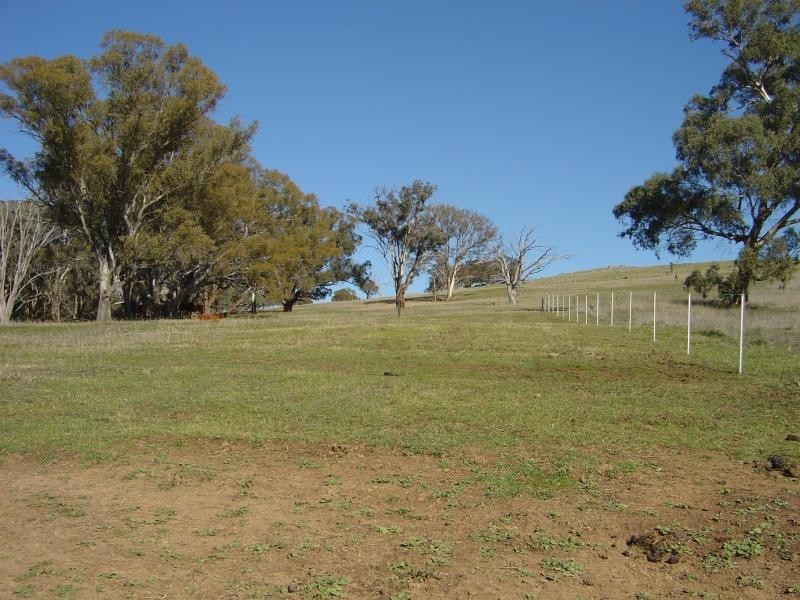 - Windera ESTATE, Orange NSW 2800