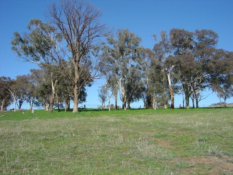 - Windera ESTATE, Orange NSW 2800