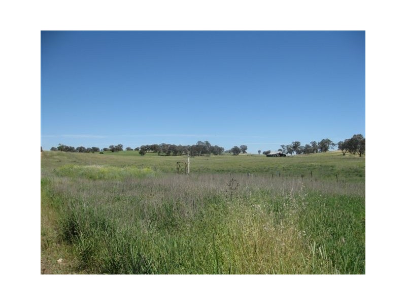Lot 4 & 5 Sunset Subdivision, Back Saleyards Road, Molong NSW 2866