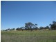 Lot 4 & 5 Sunset Subdivision, Back Saleyards Road, Molong NSW 2866