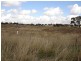 Lot 4 & 5 Sunset Subdivision, Back Saleyards Road, Molong NSW 2866