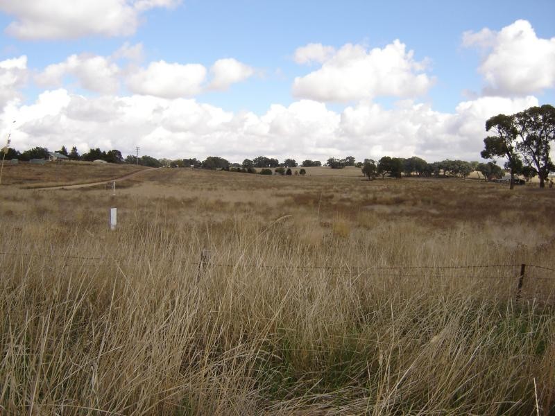 Lot 4 & 5 Sunset Subdivision, Back Saleyards Road, Molong NSW 2866