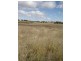 Lot 4 & 5 Sunset Subdivision, Back Saleyards Road, Molong NSW 2866