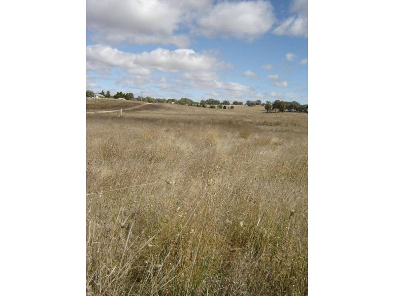 Lot 4 & 5 Sunset Subdivision, Back Saleyards Road, Molong NSW 2866