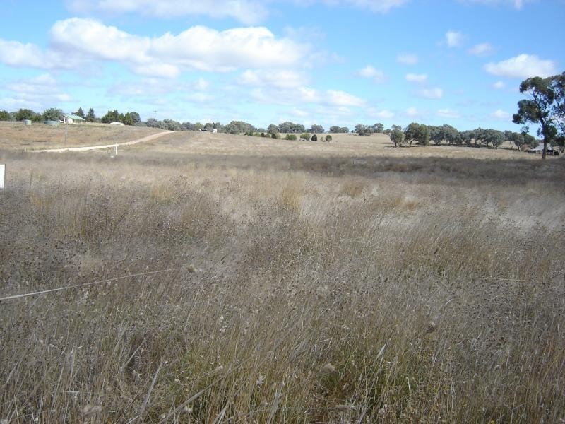 Lot 4 & 5 Sunset Subdivision, Back Saleyards Road, Molong NSW 2866