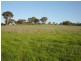 Lot 105 Westlynn Subdivision, Molong, Molong NSW 2866