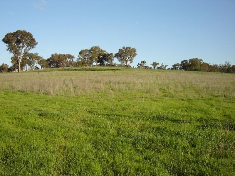 Lot 105 Westlynn Subdivision, Molong, Molong NSW 2866