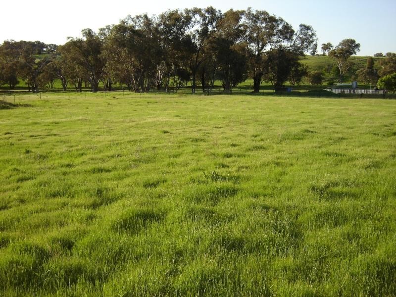 Lot 2, 104 Starlea Road, Molong NSW 2866