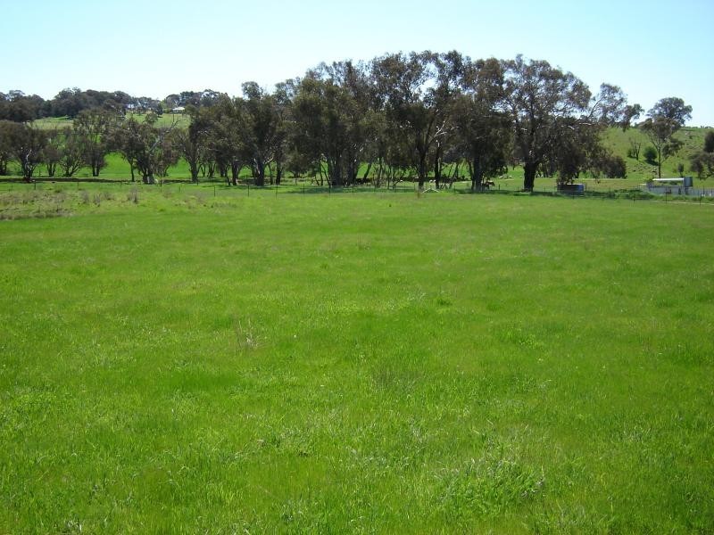 Lot 2, 104 Starlea Road, Molong NSW 2866
