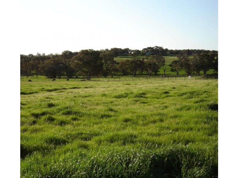 Lot 103 Westlynn Subdivision, Molong, Molong NSW 2866
