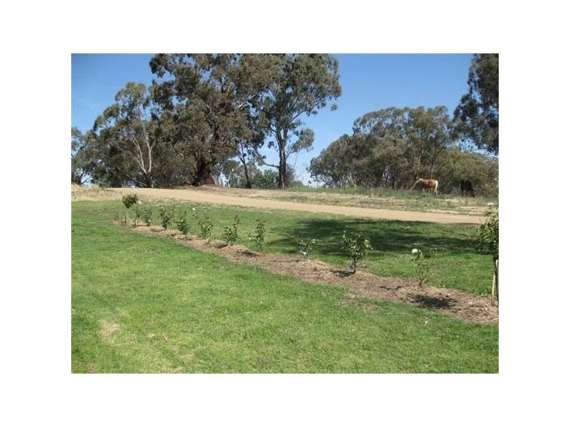 34 Toogong Street, Cudal NSW 2864