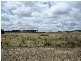 9 Obley STREET, Molong NSW 2866