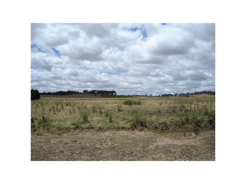 9 Obley STREET, Molong NSW 2866