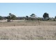 Glenburn, Forest ROAD, Orange NSW 2800