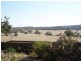 - Garra Road, Molong NSW 2866
