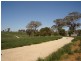 608 Peabody Road, Molong NSW 2866