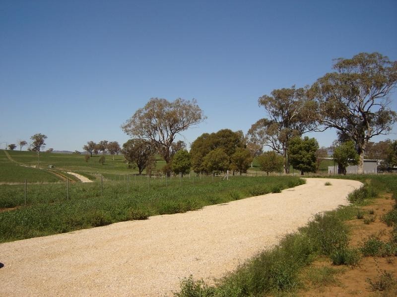 608 Peabody Road, Molong NSW 2866