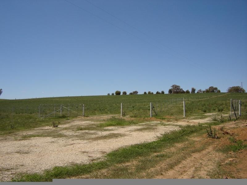 608 Peabody Road, Molong NSW 2866