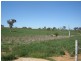 608 Peabody Road, Molong NSW 2866