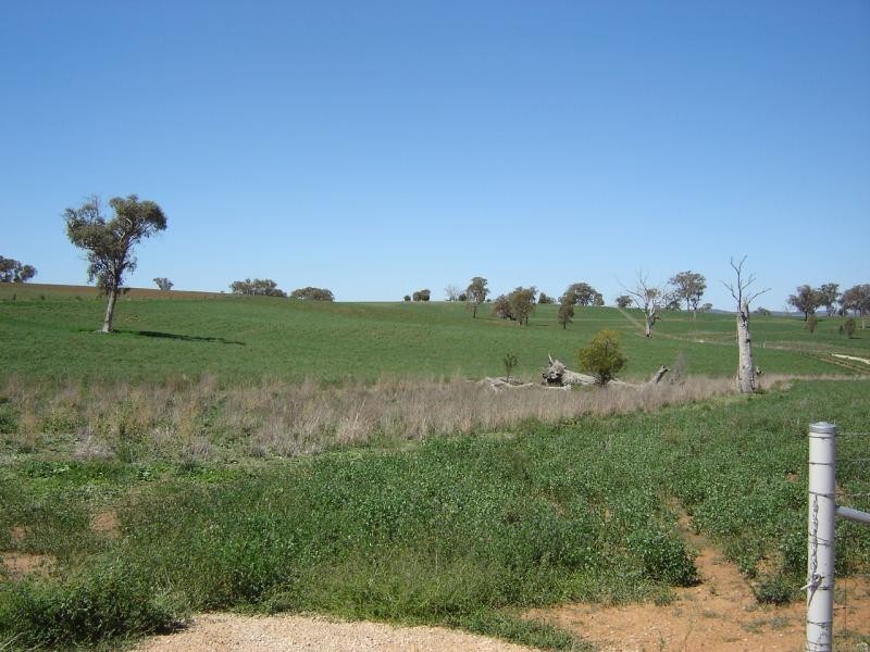 608 Peabody Road, Molong NSW 2866