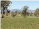 608 Peabody Road, Molong NSW 2866