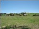 Lot 2, 980 Browns Creek Road, Blayney NSW 2799
