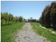 Lot 2, 980 Browns Creek Road, Blayney NSW 2799