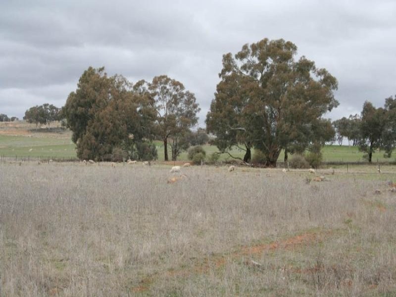 42 Orange Road (Manildra), Orange NSW 2800