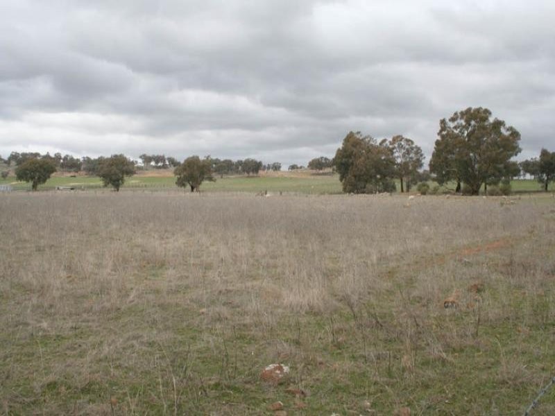 42 Orange Road (Manildra), Orange NSW 2800