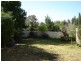 33 Wellington Street, Molong NSW 2866