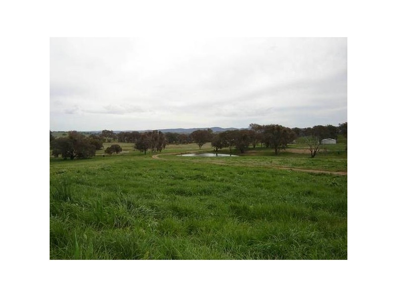 Manildra Road, Molong NSW 2866