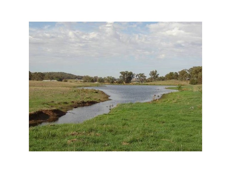 Manildra Road, Molong NSW 2866