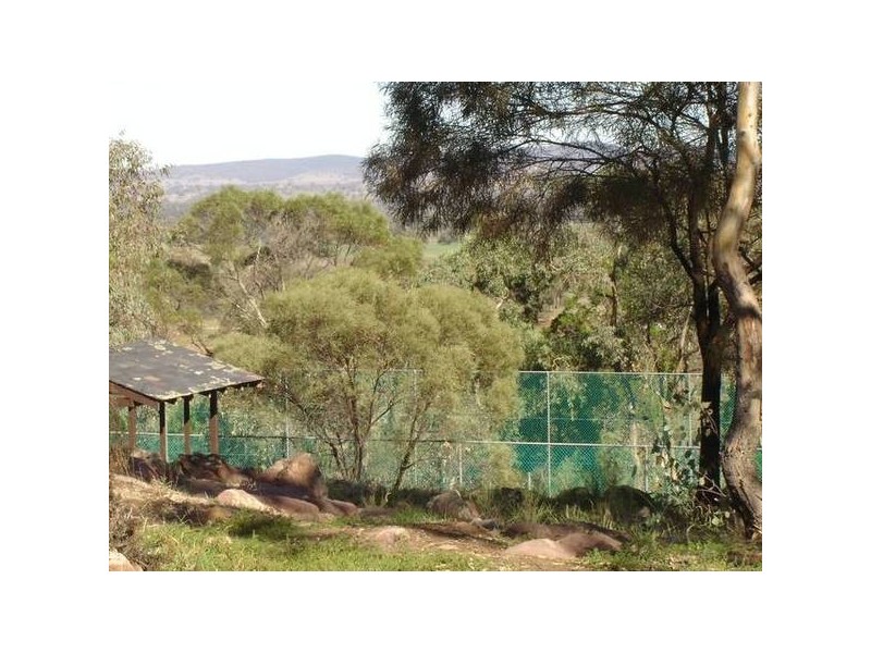 Manildra Road, Molong NSW 2866