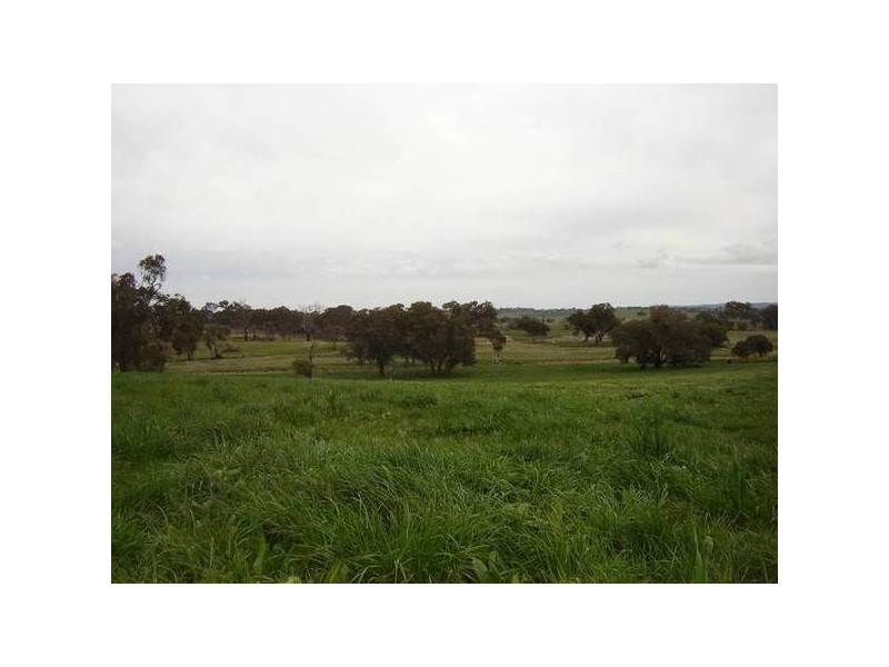 Manildra Road, Molong NSW 2866