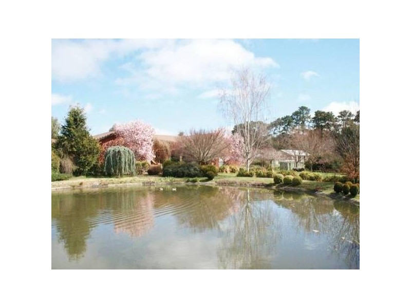 Pinnacle Road, Orange NSW 2800