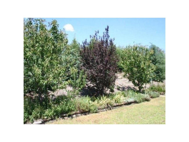 2019 Ophir ROAD, Orange NSW 2800