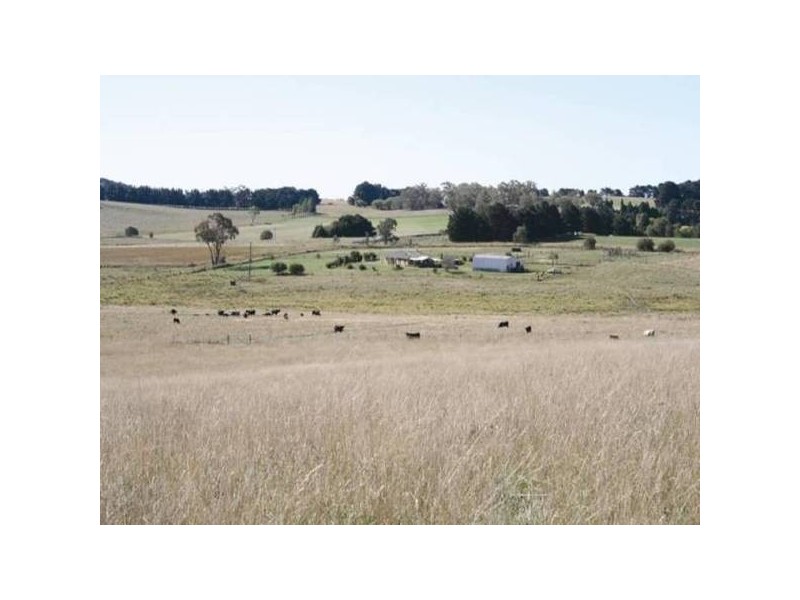 364 Nyes Gate ROAD, Millthorpe NSW 2798