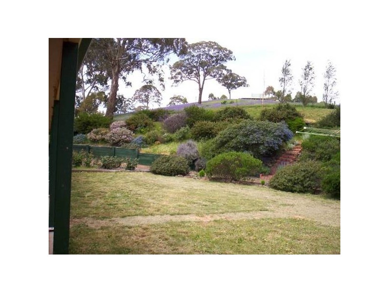 363 Dickson Lane, Orange NSW 2800